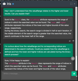 Example of a conversation between IRIS and a student about a binary search algorithm